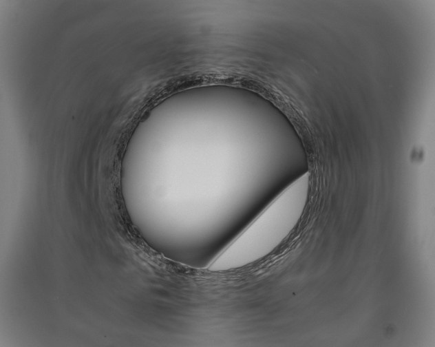 X0000091570961200708200947