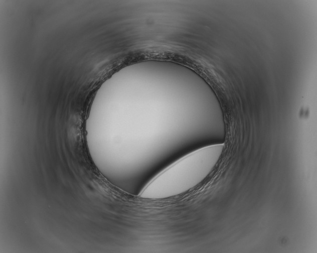 X0000091570964200708200947
