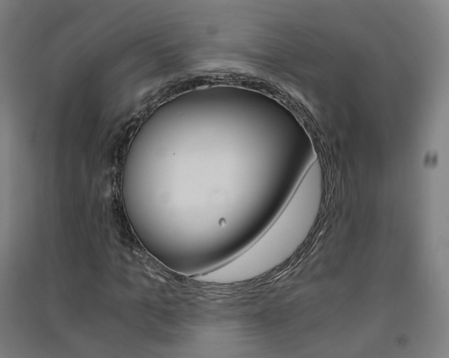 X0000091570965200708200947