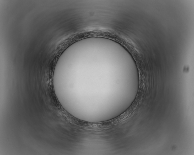 X0000091570966200708200947