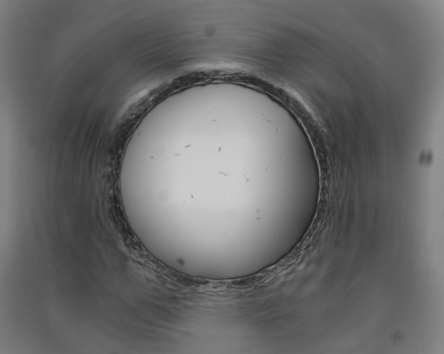 X0000091570967200708200947