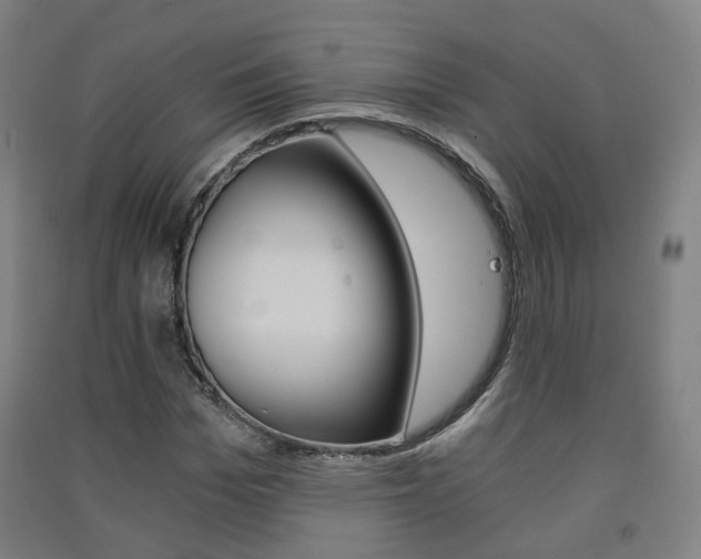 X0000091570969200708200947