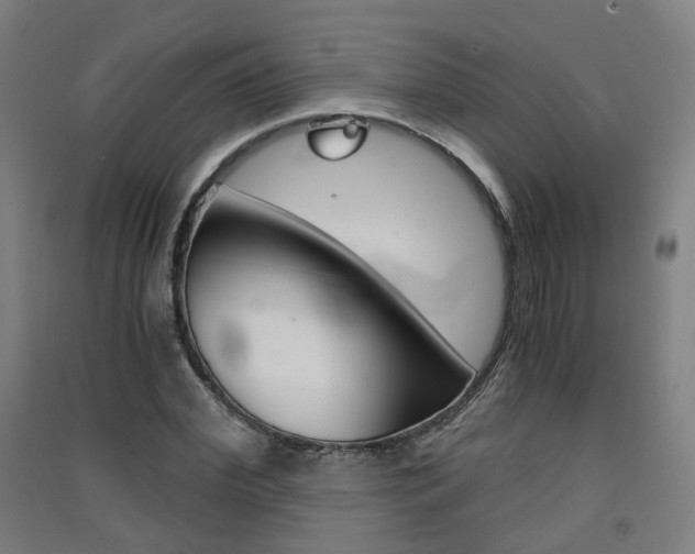X0000091570972200708200947