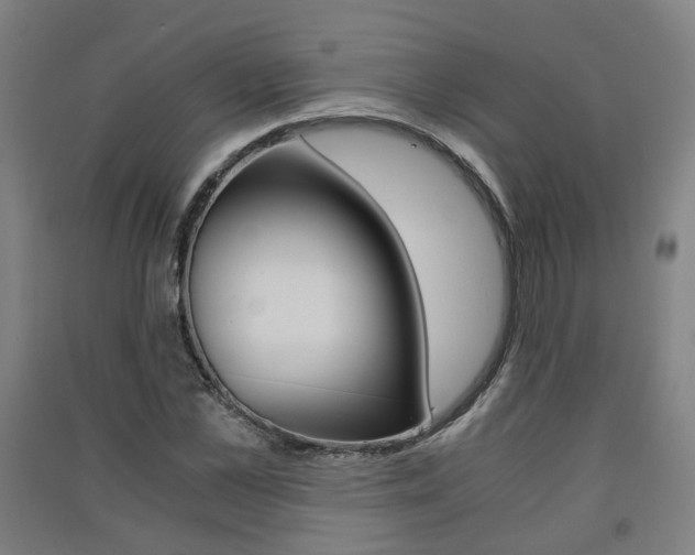 X0000091570973200708200947