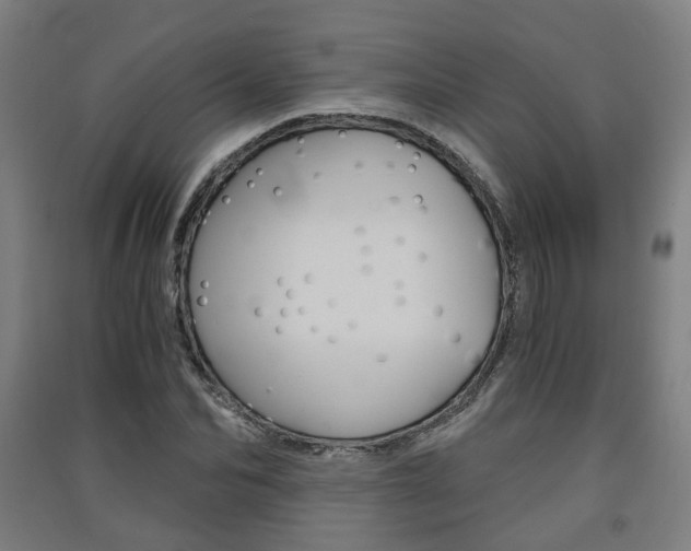 X0000091570974200708200947