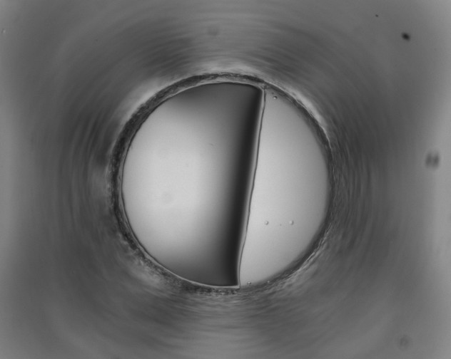 X0000091570975200708200947