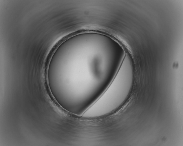 X0000091570976200708200947