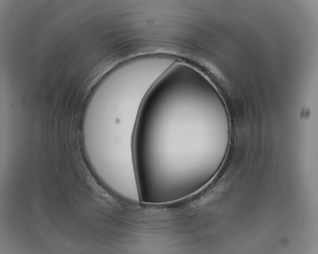 X0000091570977200708200947