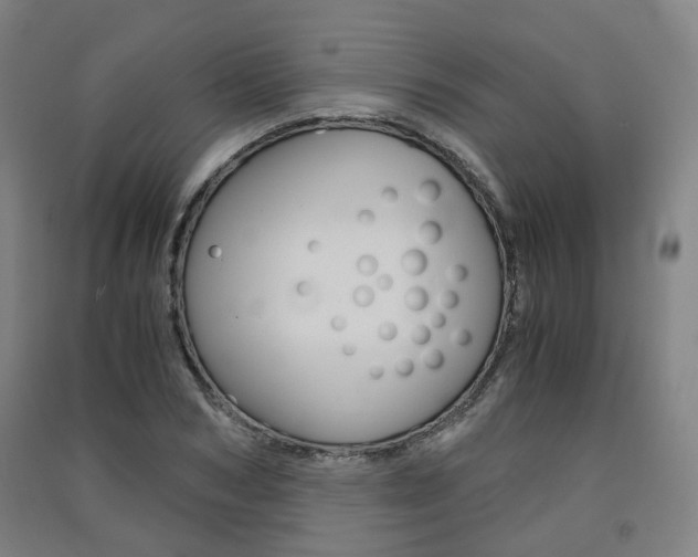 X0000091570978200708200947