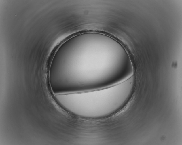 X0000091570981200708200947