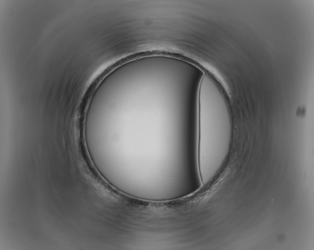 X0000091570983200708200947