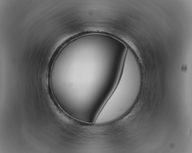 X0000091570984200708200947