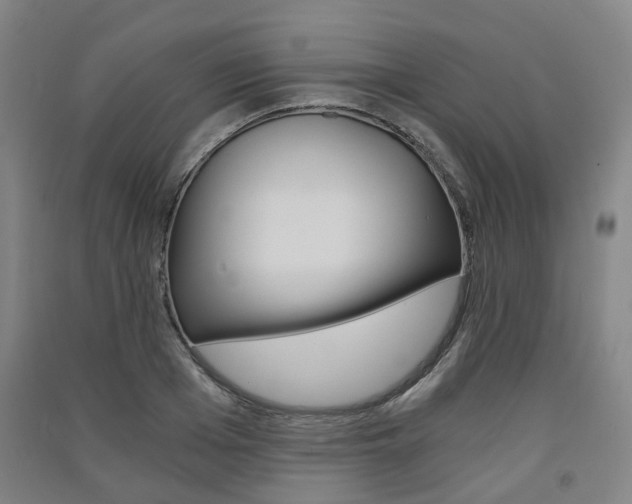 X0000091570985200708200947