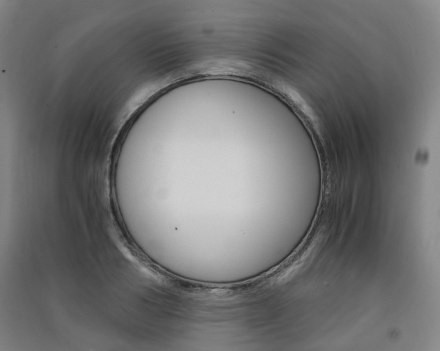 X0000091570986200708200947