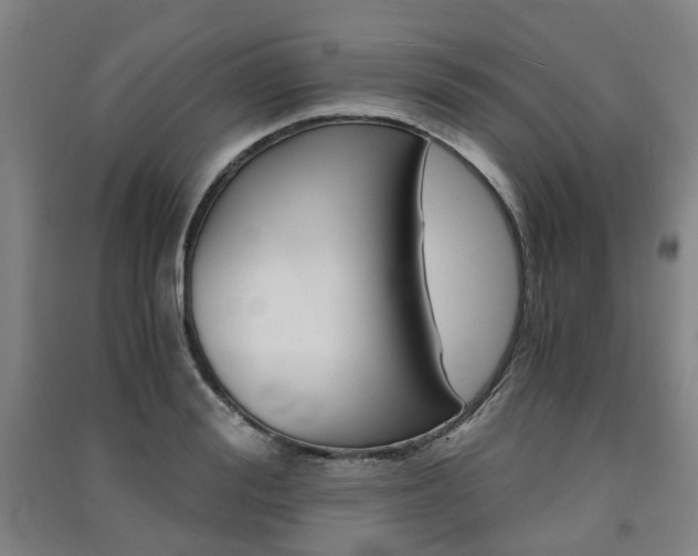 X0000091570988200708200947