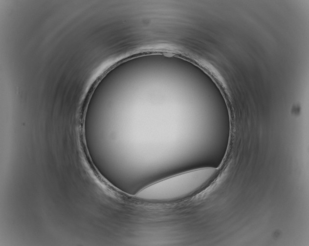 X0000091570989200708200947