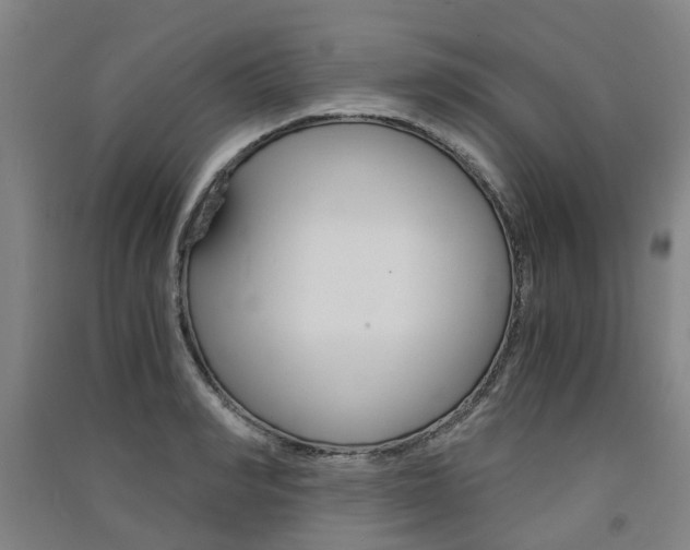 X0000091570990200708200947