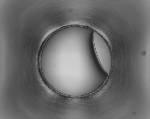X0000091570991200708200947