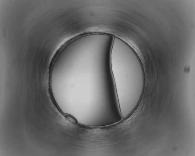 X0000091570992200708200947