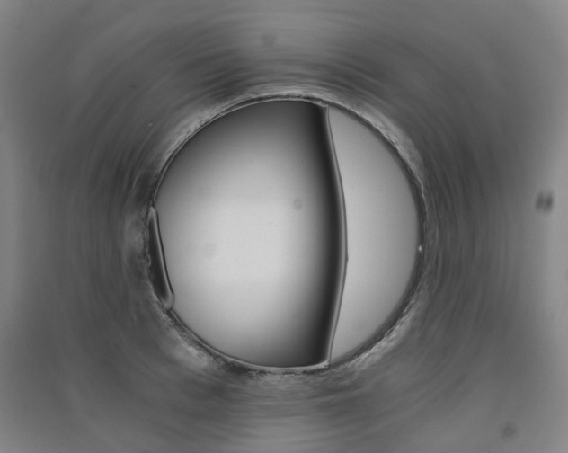X0000091570993200708200947