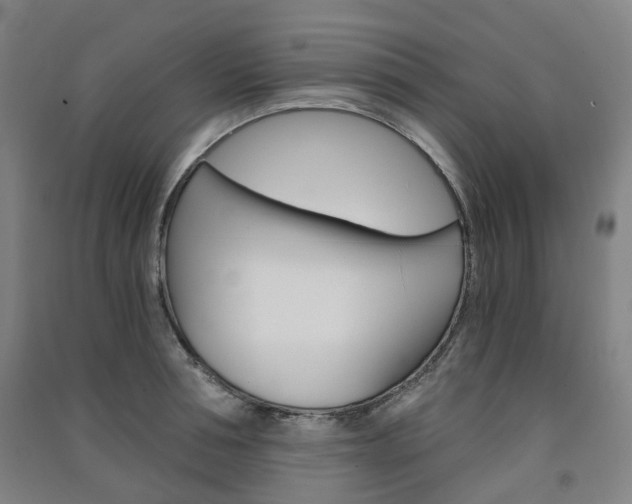 X0000091570994200708200947