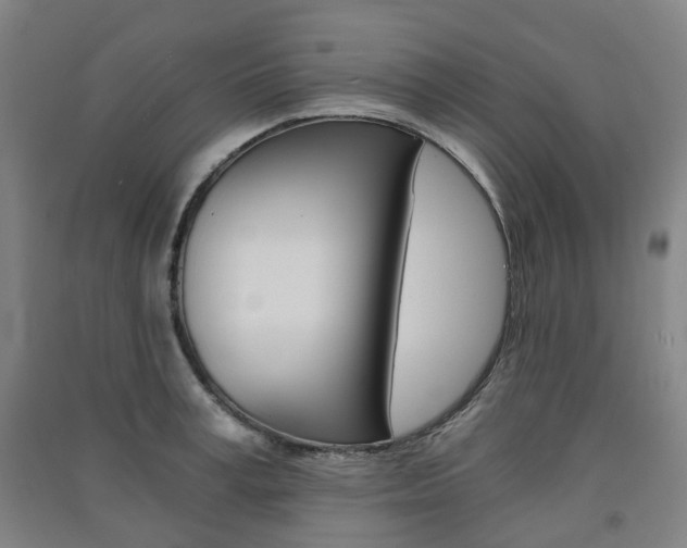 X0000091570995200708200947