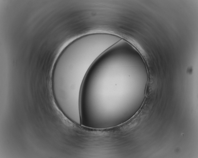 X0000091570996200708200947