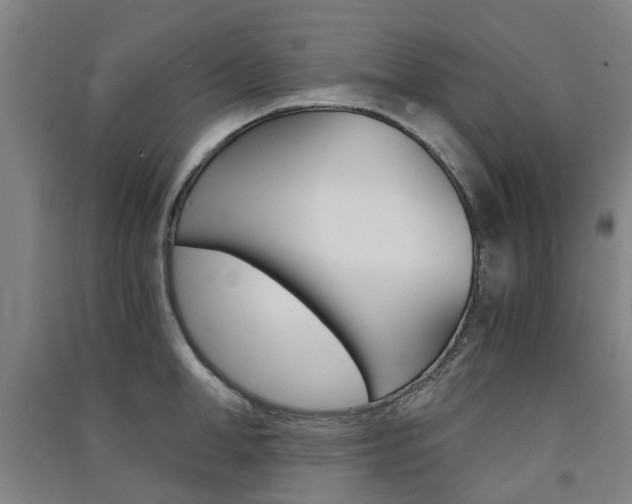 X0000091570998200708200947