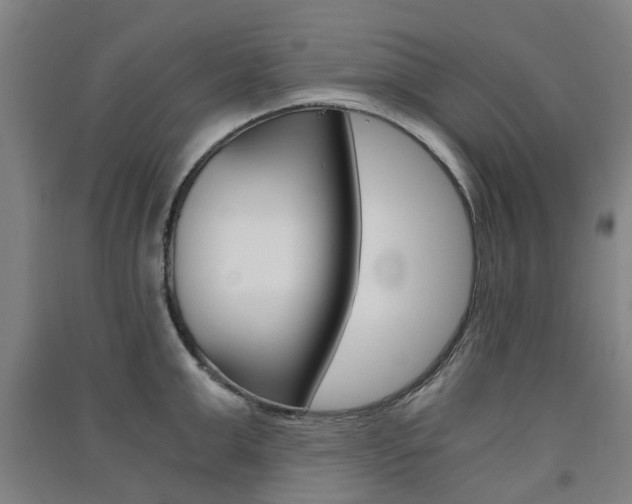 X0000091570999200708200947