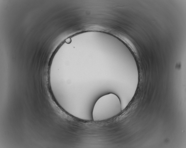 X0000091571000200708200947