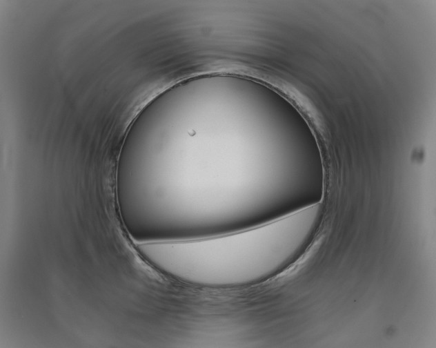 X0000091571001200708200947