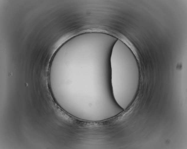 X0000091571002200708200947