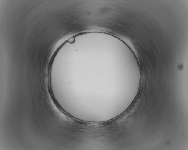 X0000091571003200708200947