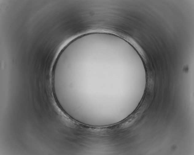 X0000091571004200708200947