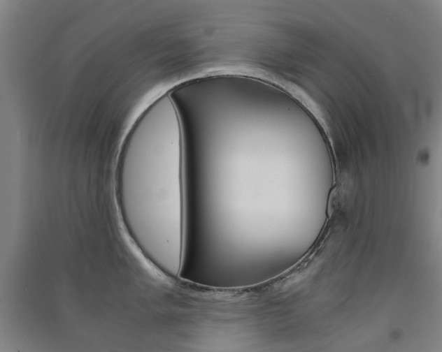 X0000091571005200708200947