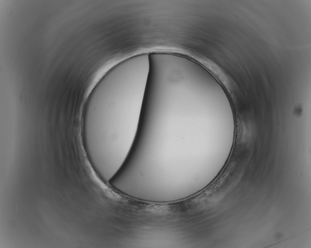 X0000091571006200708200947