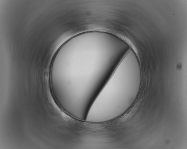 X0000091571007200708200947