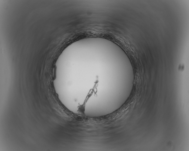 X0000091571009200708200946