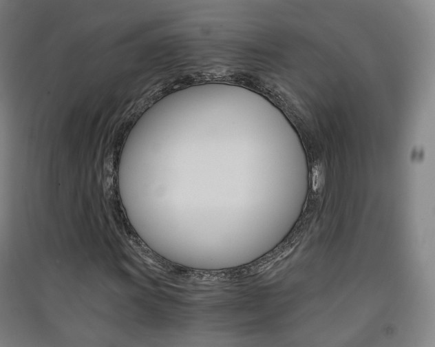 X0000091571011200708200946