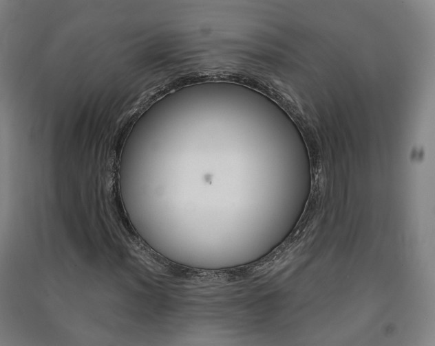 X0000091571012200708200946