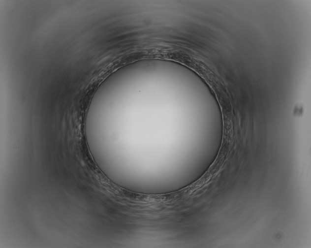 X0000091571013200708200946