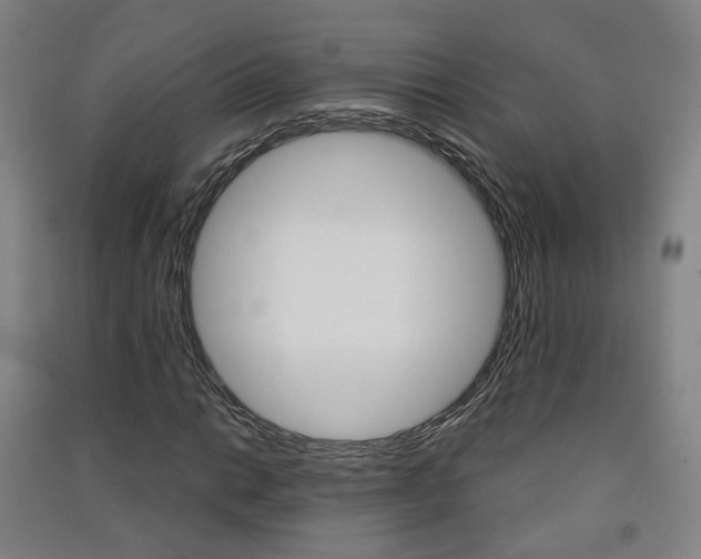 X0000091571014200708200946