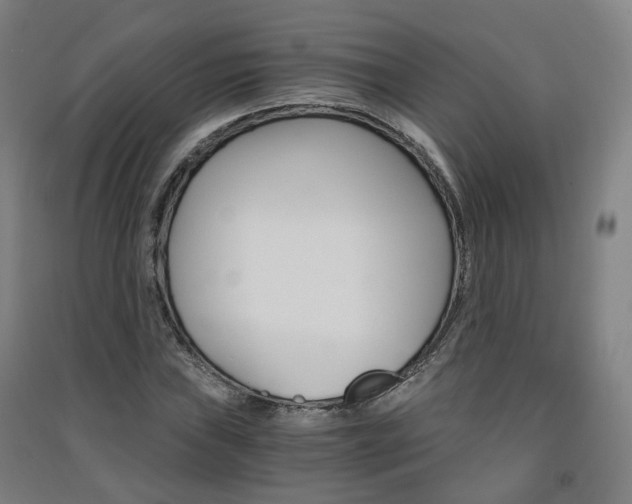 X0000091571019200708200946