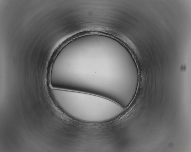 X0000091571020200708200946