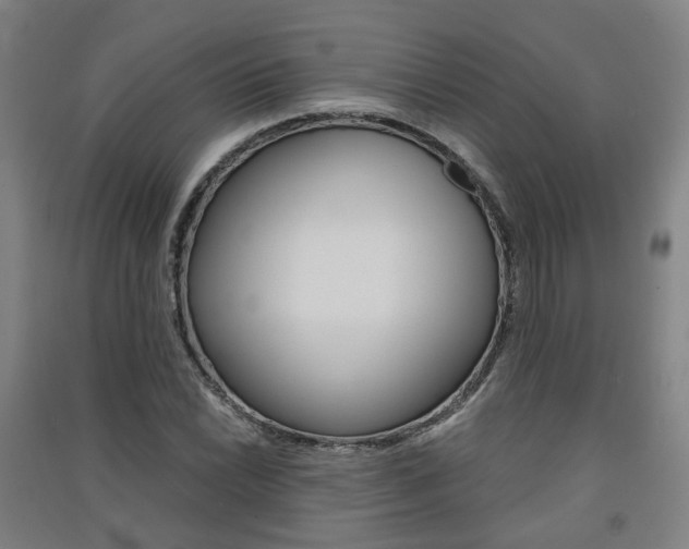 X0000091571022200708200946
