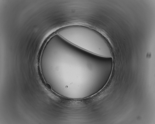 X0000091571024200708200946