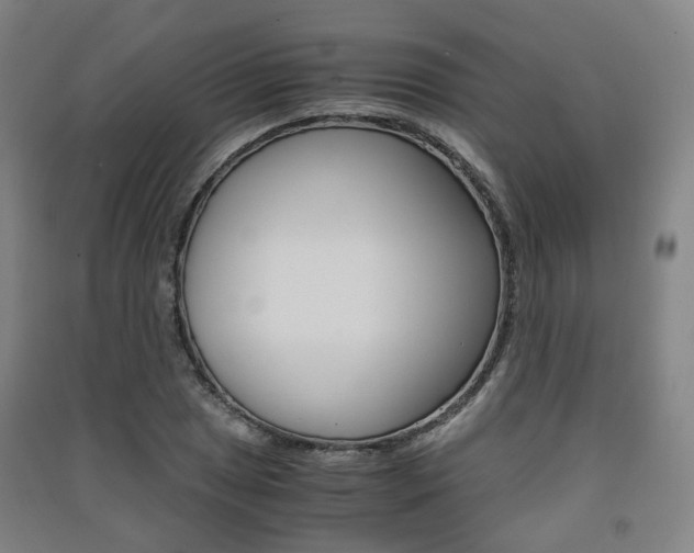 X0000091571025200708200946