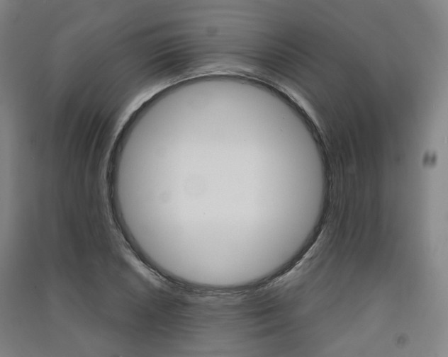 X0000091571026200708200946