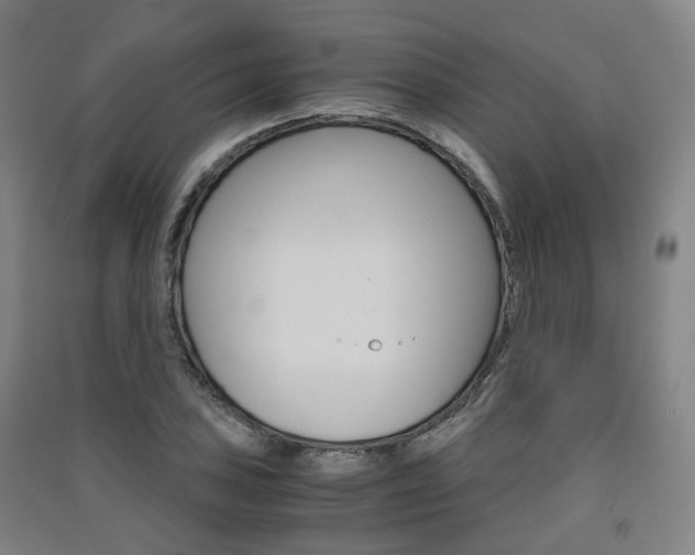 X0000091571027200708200946