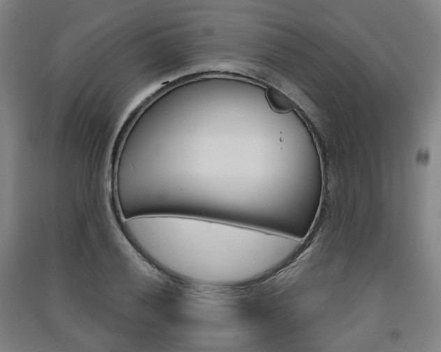 X0000091571028200708200946